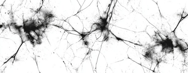 Poster - Abstract representation of neural connections showcasing intricate patterns and textures in black and white for scientific visualizations