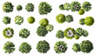 © Chanya_B - Vector set of Top view green tree for outdoor plan or map and architecture drawing, elements for environment and garden ,botanical elements ,Blooming flowers in spring,tropical plants element