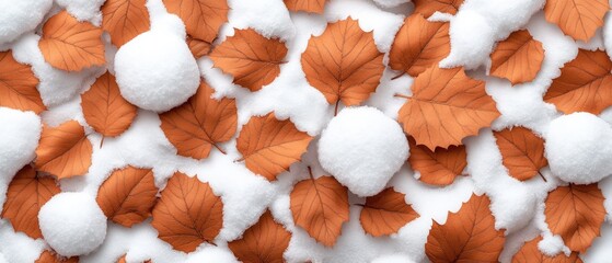 Poster - Close-up of orange leaves covered in snow on a winter day with high detail and clarity