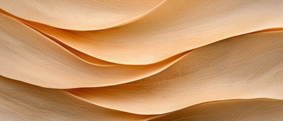 Poster - Flowing fabric textures studio setting image collection soft tones close-up design inspiration