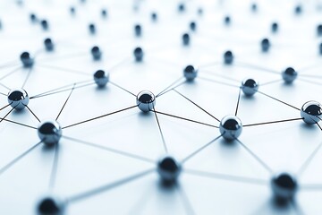 Intricate Network of Connections
