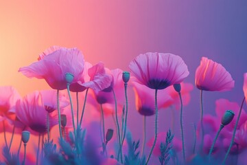 Wall Mural - Field of Pink Flowers at Sunset