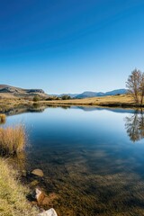 Wall Mural - Lakeside landscape with greenery