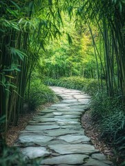 Wall Mural - Bamboo Forest Path