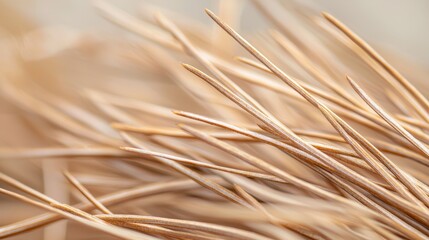 Poster - High Resolution Close Up of Pine Needle Details Highlighting Texture and Color Variation in Natural Environment