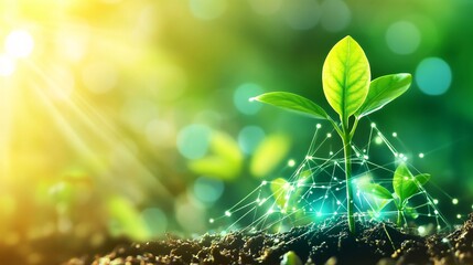 Poster - Small plant growing in sunlight with technology network connection