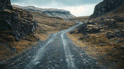 Wall Mural - Rugged Off-Road Trail Through Wild Landscape Surrounded by Rocks