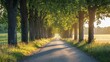© Kitta Studio - Scenic Rural Road Lined with Trees at Golden Hour Serenity