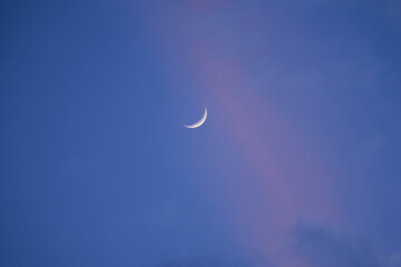 Wall Mural - Waxing Crescent Moon in the Blue and Pink Afternoon Sky Background