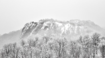 Canvas Print - Winter landscape with snow covered trees and rock formation