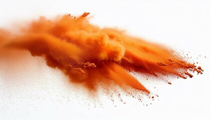 Canvas Print - fire splash on white background