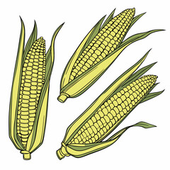 Canvas Print - Grilled Corn on the Cob with Butter & Seasoning Vector Illustration