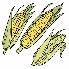 Canvas Print - Grilled Corn on the Cob with Butter & Seasoning Vector Illustration