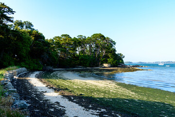 Wall Mural - The beach on Berder Island in Larmor-Baden in Europe, France, Brittany, Morbihan, Larmor Baden, in summer, on a sunny day.