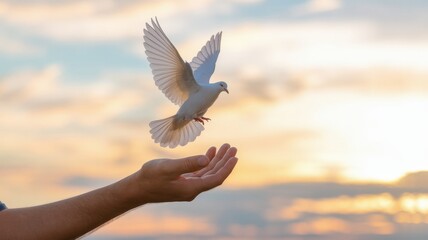 Canvas Print - A white dove gracefully takes flight from an outstretched hand