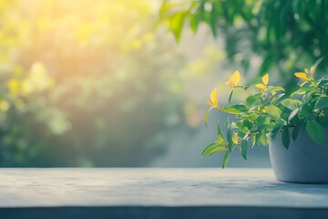 Wall Mural - Serene Outdoor Plantscape with Soft Sunlight