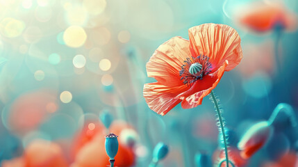 Wall Mural - vibrant poppy flower stands tall amidst dreamy background of soft bokeh, evoking sense of tranquility and beauty in nature