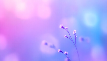 Poster - Soft blue and purple gradient blur background