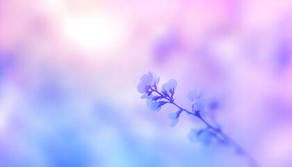Poster - Soft blue and purple gradient blur background