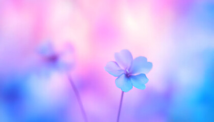 Poster - Soft blue and purple gradient blur background