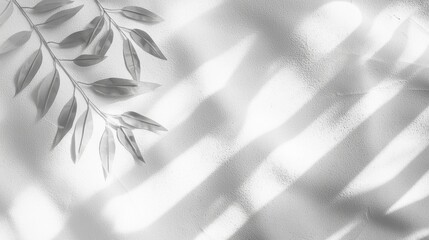 Poster - Delicate leaves cast intricate shadows, blending softly with a textured grey backdrop. The interplay of light creates an ethereal, abstract display that invites contemplation and tranquility