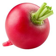 Wall Mural - radish isolated on white background full depth of field