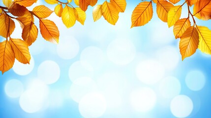 Wall Mural - Autumn leaves on branches against a light blue bokeh background. Possible use nature, fall, background, seasonal