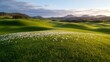 © Narongsag - Serene Rolling Hills Meadow Landscape  White Daisies  Green Grass  Sunny Sky