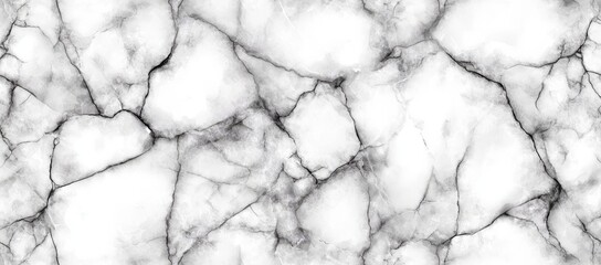 Poster - White Marble Background with Black Veins and Intricate Texture for Elegant Designs and Modern Patterns