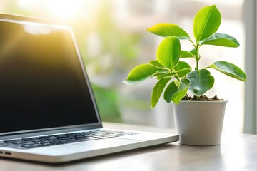 Poster - Laptop and Green Plant on Desk in Bright Office Setting Promoting Productivity and Growth