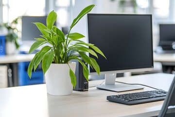 Poster - Green plant on desk with computer screen in modern office space providing calm workplace
