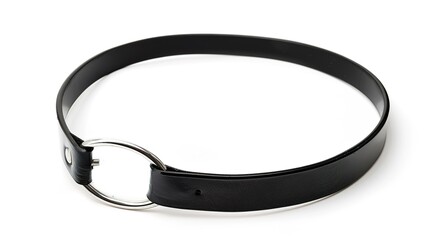 A simple and distinct belt is prominently displayed all alone on a clean, expansive white background. The belt's design, texture, and details are clearly visible, making it a focal point. This unclutt
