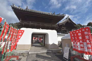 Poster - 興聖寺　山門　京都府宇治市