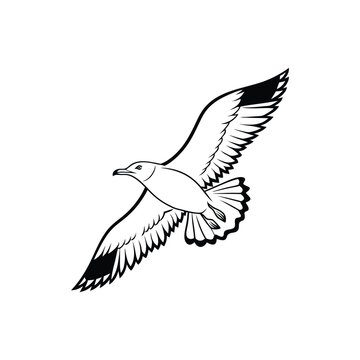 Soaring Bird Silhouette with Outstretched Wings – Minimal Vector Art