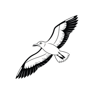 Soaring Bird Silhouette with Outstretched Wings – Minimal Vector Art