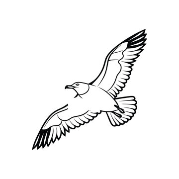 Soaring Bird Silhouette with Outstretched Wings – Minimal Vector Art