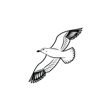 Soaring Bird Silhouette with Outstretched Wings – Minimal Vector Art