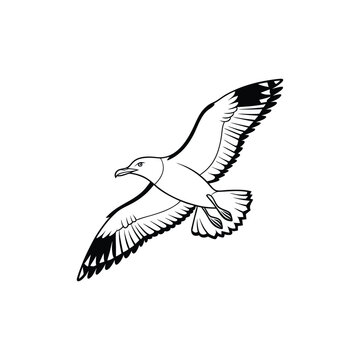 Soaring Bird Silhouette with Outstretched Wings – Minimal Vector Art