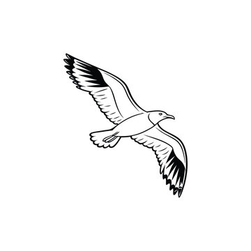 Soaring Bird Silhouette with Outstretched Wings – Minimal Vector Art