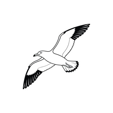 Soaring Bird Silhouette with Outstretched Wings – Minimal Vector Art