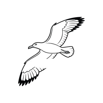 Soaring Bird Silhouette with Outstretched Wings – Minimal Vector Art