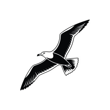 Soaring Bird Silhouette with Outstretched Wings – Minimal Vector Art