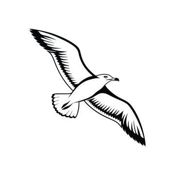Soaring Bird Silhouette with Outstretched Wings – Minimal Vector Art