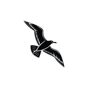 Soaring Bird Silhouette with Outstretched Wings – Minimal Vector Art