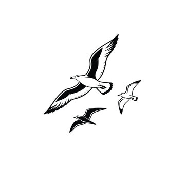 Soaring Bird Silhouette with Outstretched Wings – Minimal Vector Art