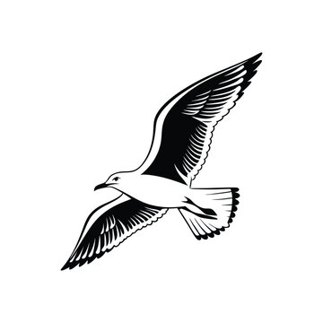 Soaring Bird Silhouette with Outstretched Wings – Minimal Vector Art