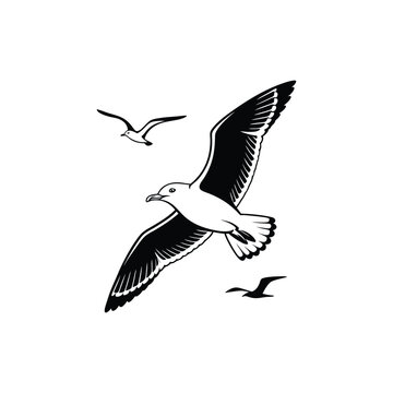 Soaring Bird Silhouette with Outstretched Wings – Minimal Vector Art