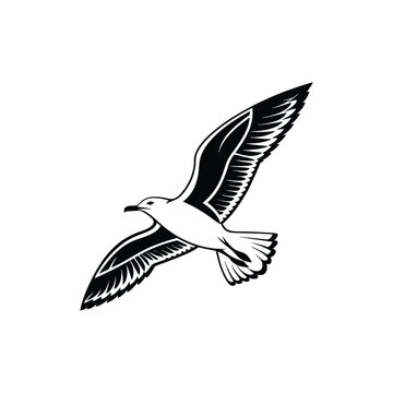 Soaring Bird Silhouette with Outstretched Wings – Minimal Vector Art