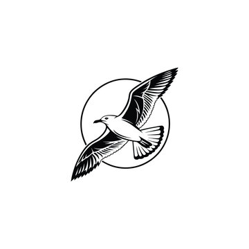 Soaring Bird Silhouette with Outstretched Wings – Minimal Vector Art