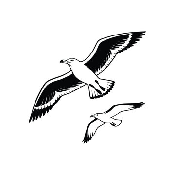 Soaring Bird Silhouette with Outstretched Wings – Minimal Vector Art